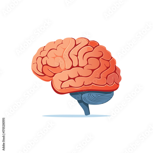 Illustration of a human brain with artistic anatomy concept