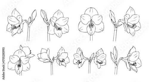 Elegant orchid flower silhouettes in a repeating pattern outline silhouette