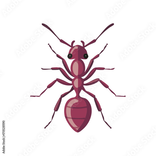 Single ant illustration insect arthropod nature wildlife biology pest control