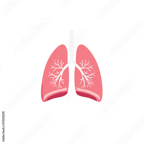 Human lung illustration, anatomy and medicine concept, respiratory system, healthcare