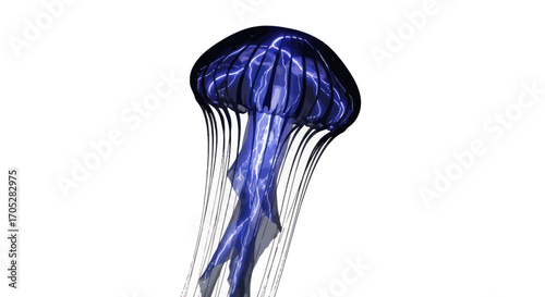 Electric jellyfish drifting in the endless expanse of a luminous white backdrop