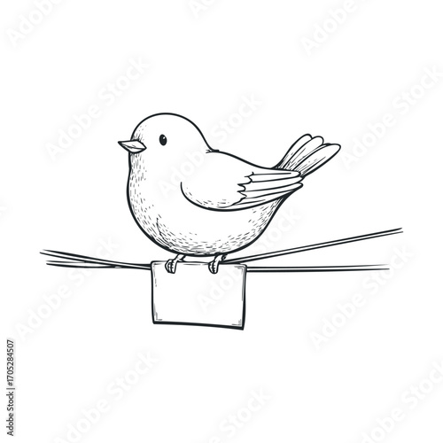 A small, plump bird perched on a wire.