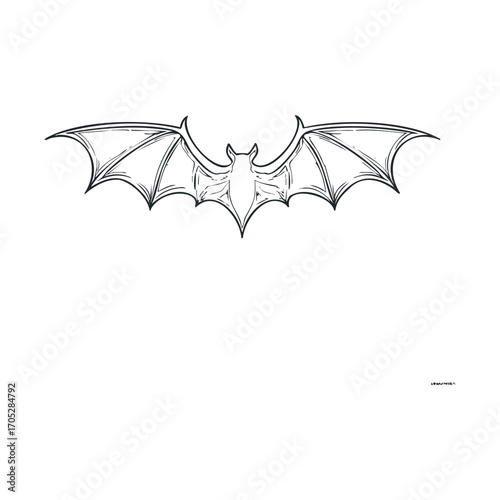 A line drawing of a flying bat with its wings spread.