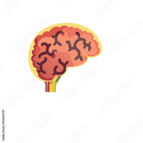 Illustration of a human brain isolated. Concept of psychology and the mind.