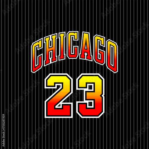 chicago 23 basketball vintage...