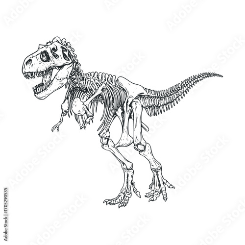 A dinosaur skeleton with an open jaw.