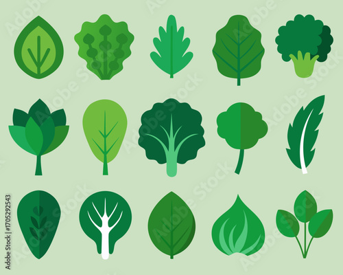 Collection of flat design green leafy vegetables and greens