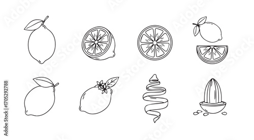 Collection of hand drawn lemon illustrations and citrus slices in silhouette
