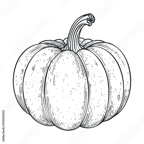 A hand-drawn sketch of a round pumpkin.