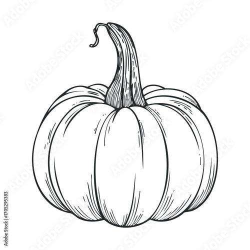 A detailed hand-drawn sketch of a pumpkin.