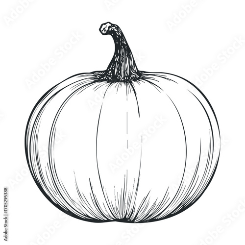 A hand-drawn sketch of a round pumpkin.