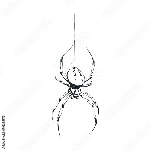 A spider dangling from a web strand.