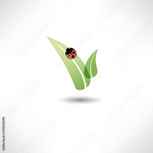 Ladybug resting on green leaves in a minimalist design showcasing nature's beauty and simplicity