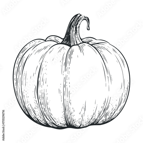  A line drawing of a simple, uncarved pumpkin.