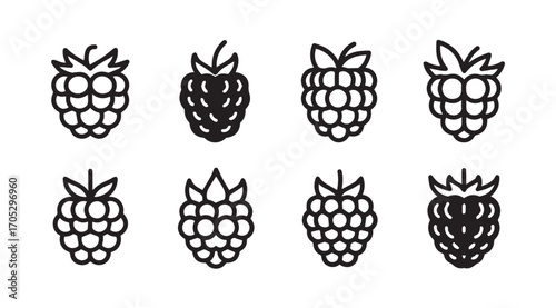 Collection of simple outline raspberry fruit icons silhouette