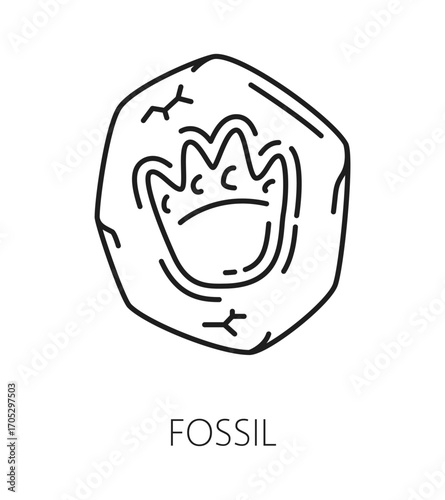 Dinosaur fossil footprint museum gallery line icon or sign. Prehistoric animal museum line vector icon, gallery lineart pictogram. Dinosaur exhibit sign with dinosaur footprint ground trace fossil