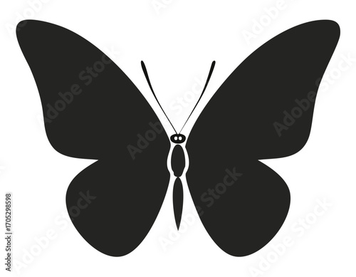 Black Silhouette of a Butterfly with Wide Wings insect