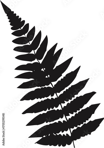 Black Silhouette of a Fern Frond on White leaf leaves