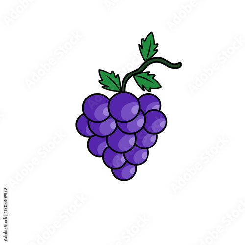 bunch of grapes