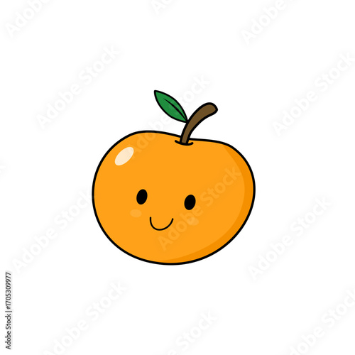 vector illustration of an orange fruit