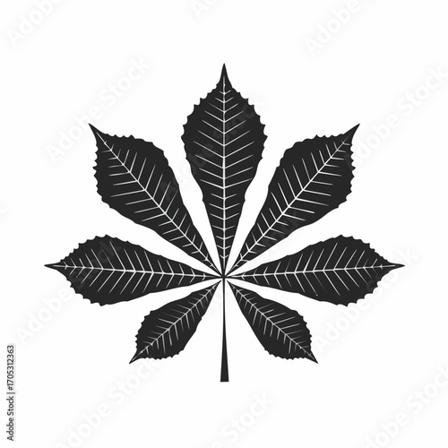Dark gray silhouette of a detailed horse chestnut leaf Keywords: horse chestnut leaf, silhouette