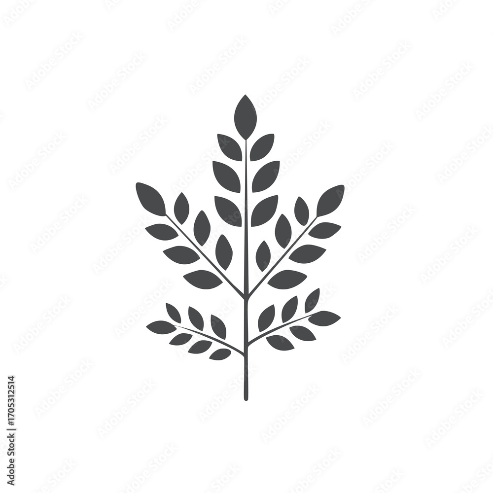 Fototapeta premium Dark gray silhouette of a leafy branch on a white background