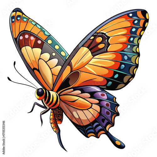 flying butterfly real,white background