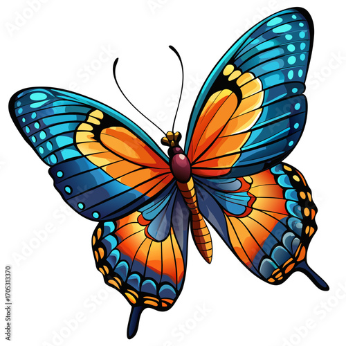 flying butterfly real,white background