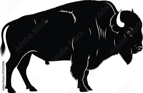 American bison silhouette vector illustration, wild animal profile, black and white wildlife icon, prairie mammal, nature conservation graphic art