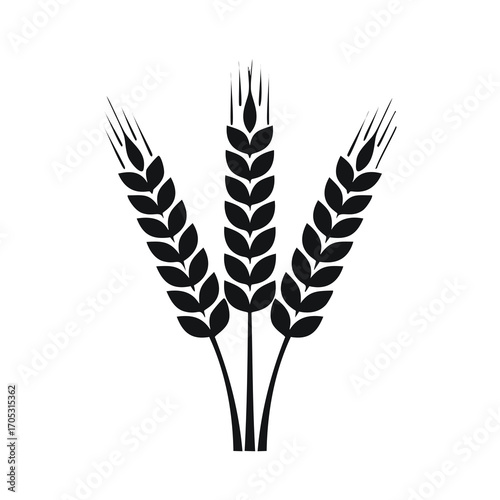 Three Black Wheat Stalks Icon Keywords: wheat, grain, agriculture, harvest, food, bread, cereal
