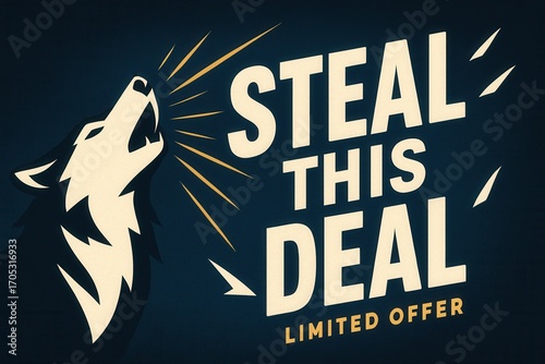 Promotional banner featuring STEAL THIS DEAL and LIMITED OFFER, dynamic style, appealing retail discount promotion.