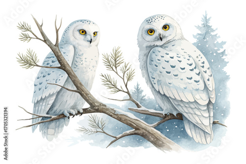 Watercolor snowy owl sitting on branch vector illustration 