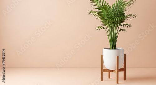 Elegant areca palm in white pot standing gracefully against a peach colored wall background