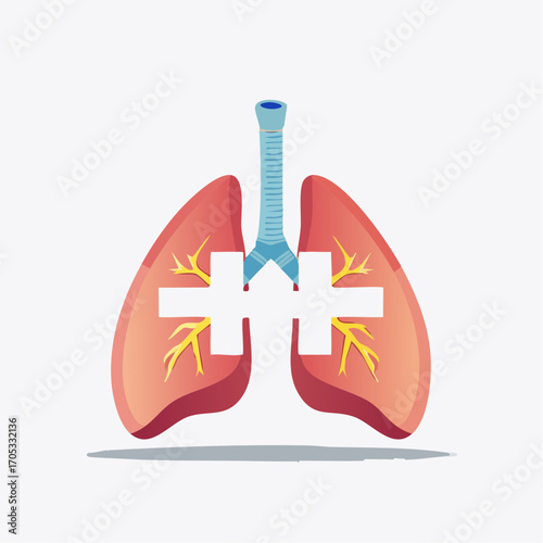 Human Lungs Anatomy Diagram with Trachea.