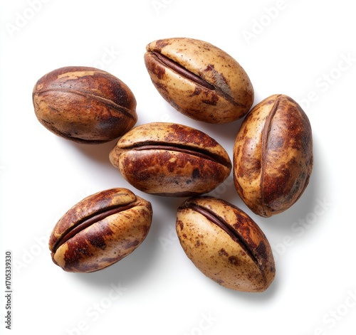 Wallpaper Mural Close-up of five seeds, oval-shaped, light tan and dark brown, arranged in a loose cluster against a white background Torontodigital.ca