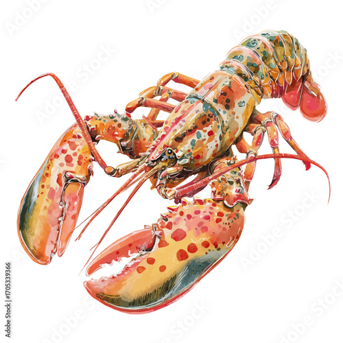 Lobster Thermidor, watercolor painting vector, isolated on a white background.