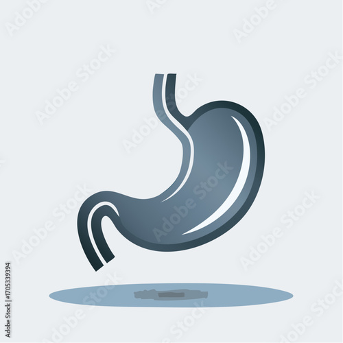 Simple Stomach Illustration for Educational Use.