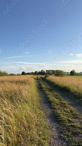 road in the field