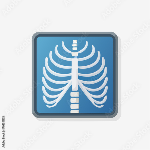 XRay Image of Human Rib Cage with Highlighted Area.