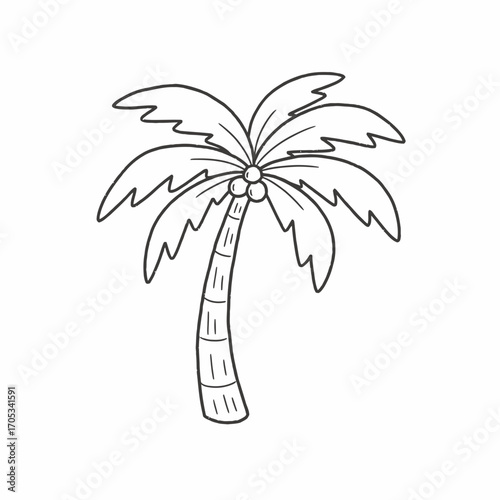 A simple black and white illustration of a palm tree with coconuts.