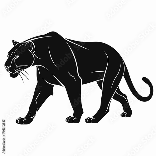 vector illustration of a black panther