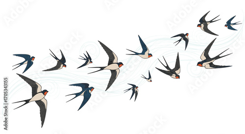 A flock of swallows soaring gracefully through the sky on a clear day.