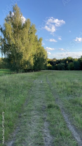 Rural road at sunset