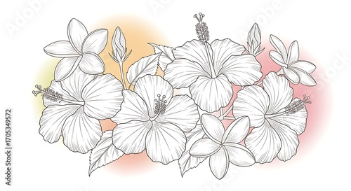 Elegant floral arrangement with plumeria and hibiscus in line art style