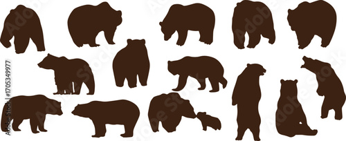 bear silhouette vector, brown bear shadow, grizzly bear outline, polar bear sketch, black bear icon, wild bear cartoon, forest bear shape, bear walking silhouette, wildlife bear shadow, animal bear ar
