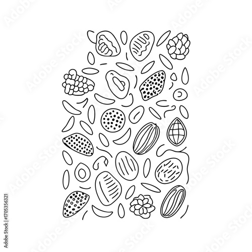 Nuts pattern thins line almond snack texture seed nut mix raw and protein food walnut cashew and pistachio vector seamless food cashew almond snack pattern walnut or hazelnut illustration
