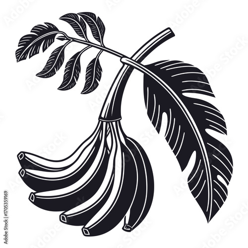 banana tree silhouette