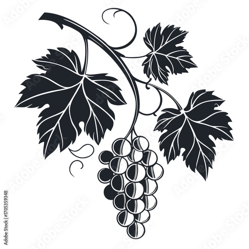 bunch of grapes