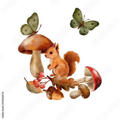 Watercolor autumn forest illustration with squirrel maple leaves acorns and viburnum berries woodland seasonal nature design isolated background