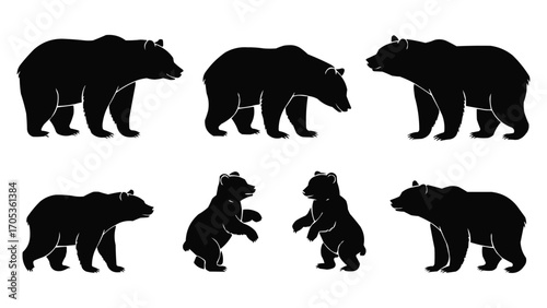 Silhouette set of wild bear illustrations in various poses for wildlife concept, outdoor adventure, logo, and t shirt design